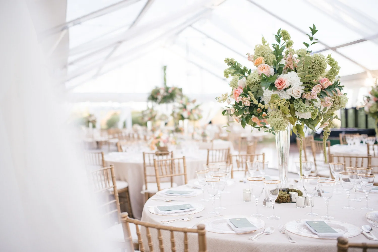 Elegant tented wedding in Charlottesville, Virginia.
