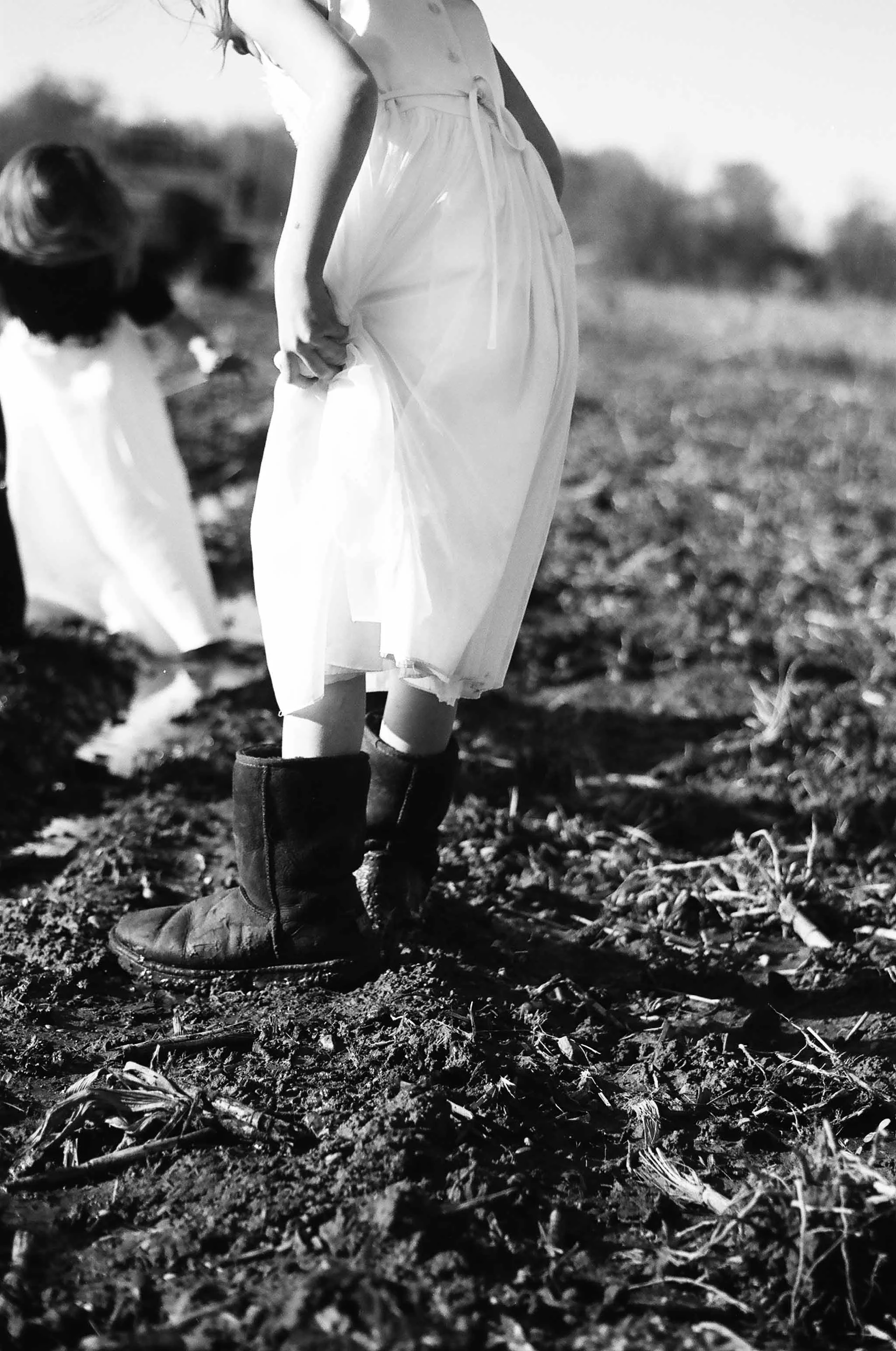 11FarmHPFilM02n.jpg