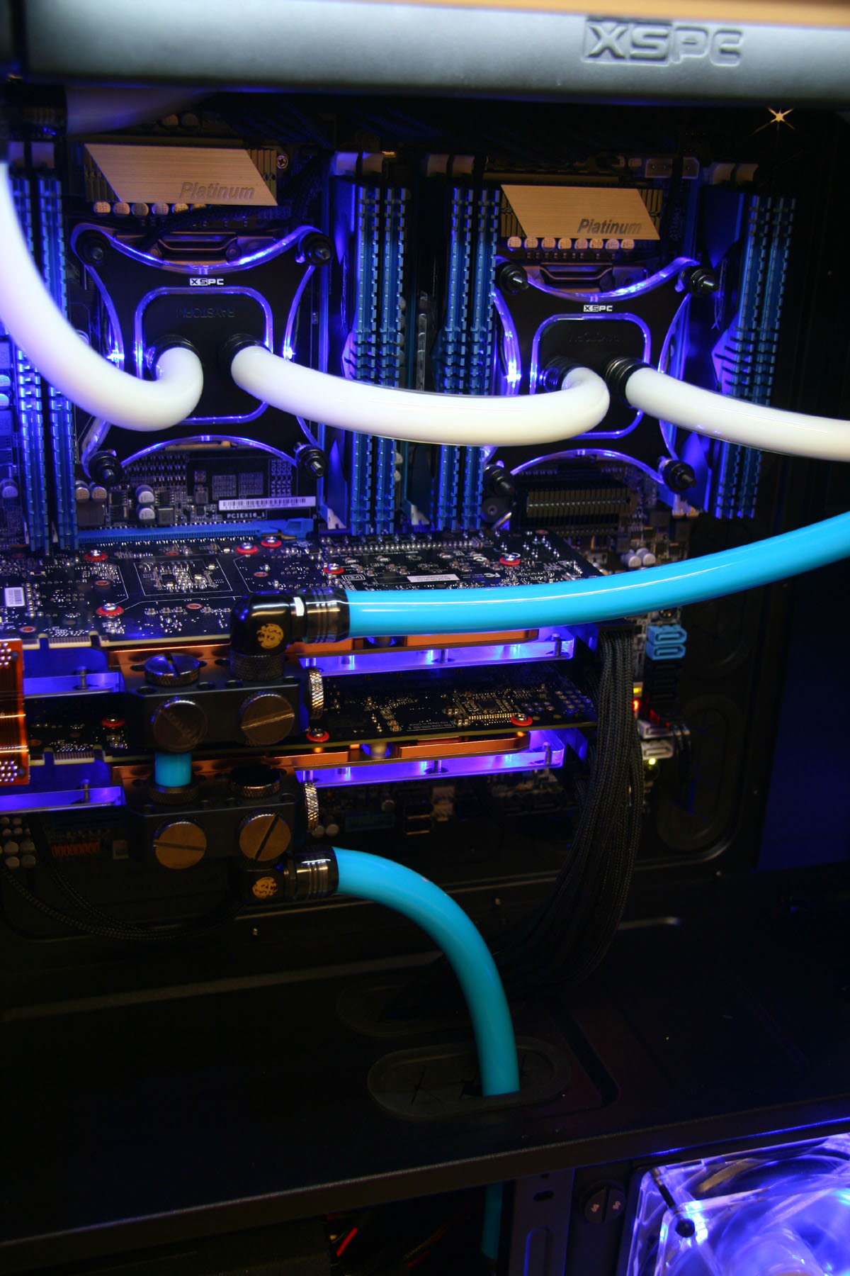 kingston_predator_1-1.jpg
