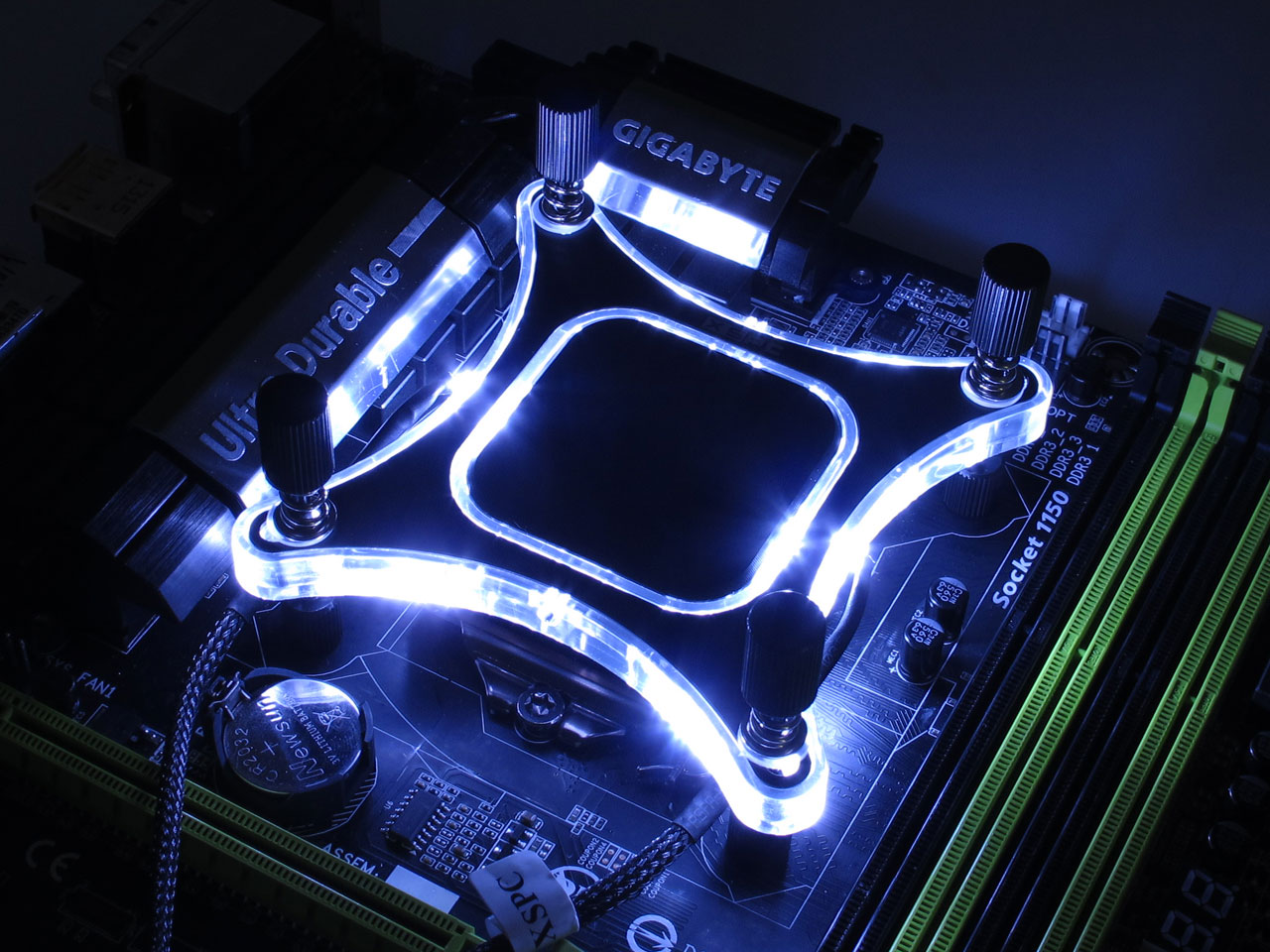 intel-white.jpg