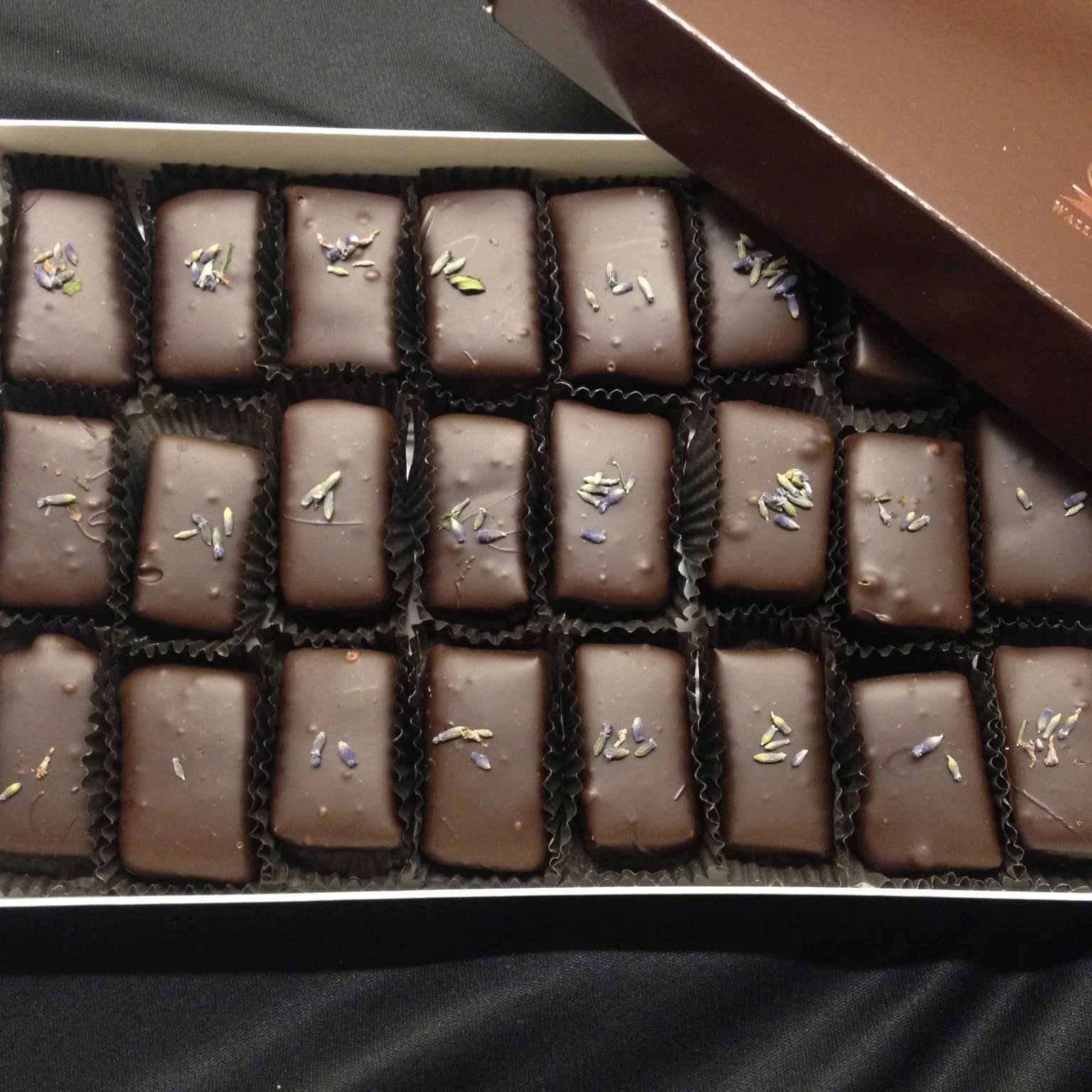 IMG_0896.JPG - Version 2.JPG