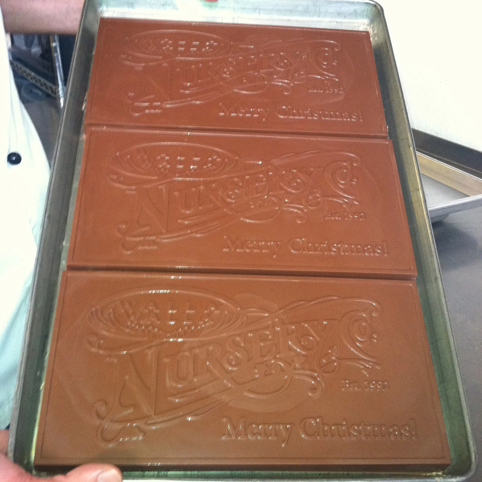 IMG_0475.JPG - Version 2.JPG