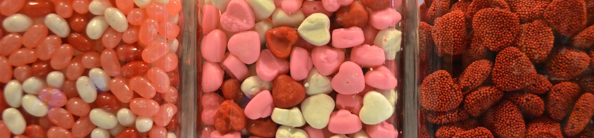 DSC_1480 - Version 2.JPG