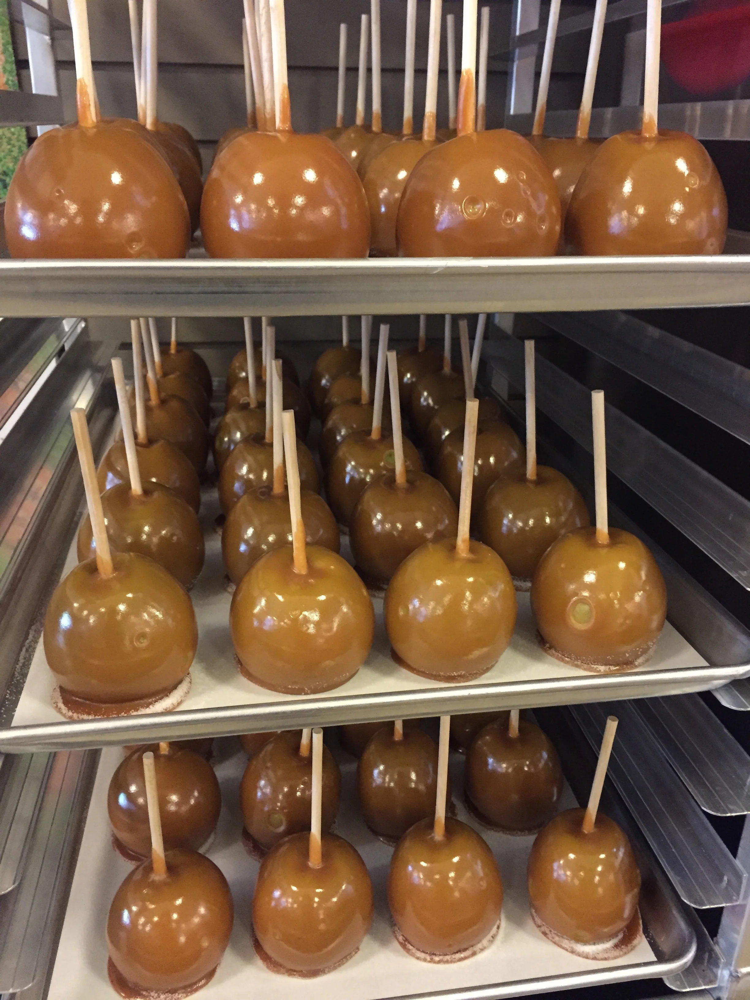 Caramel apples made from scratch with local apples