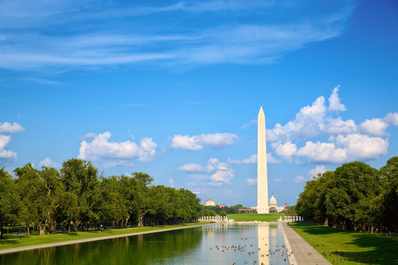 35483105_ml washington dc.jpg