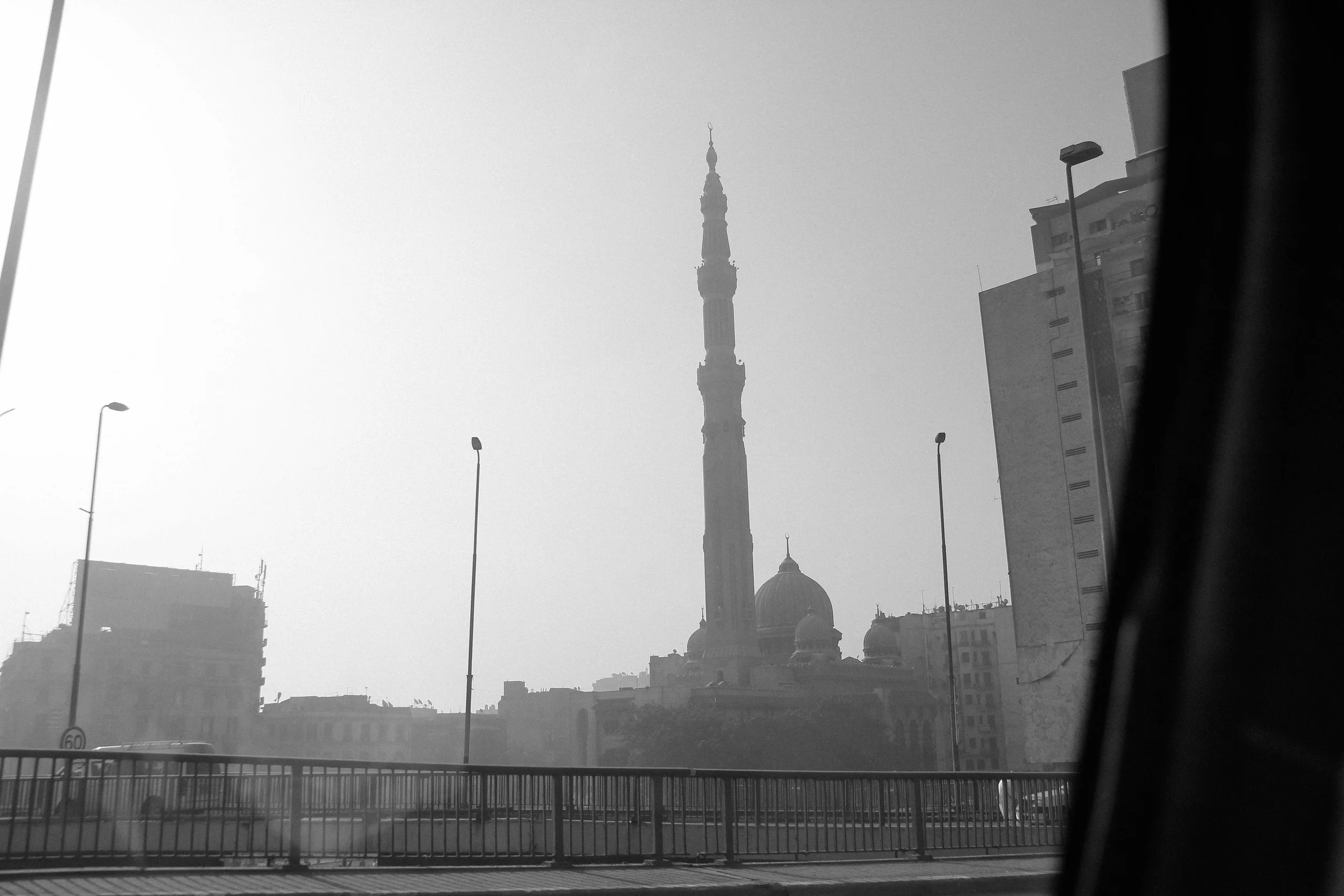 IMG_7008.jpg
