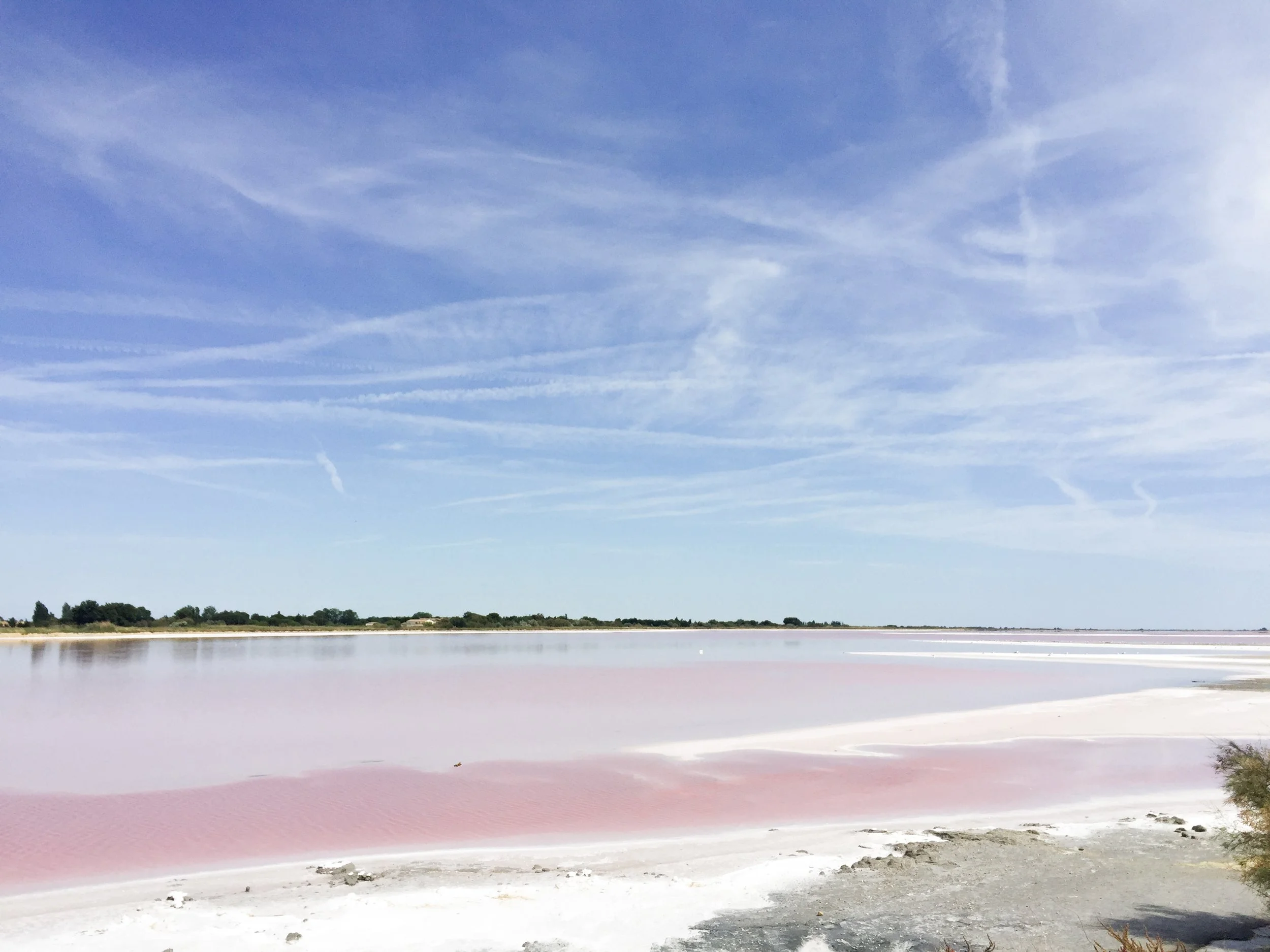 aigues-mortes-salin-rose-camargue-.jpg
