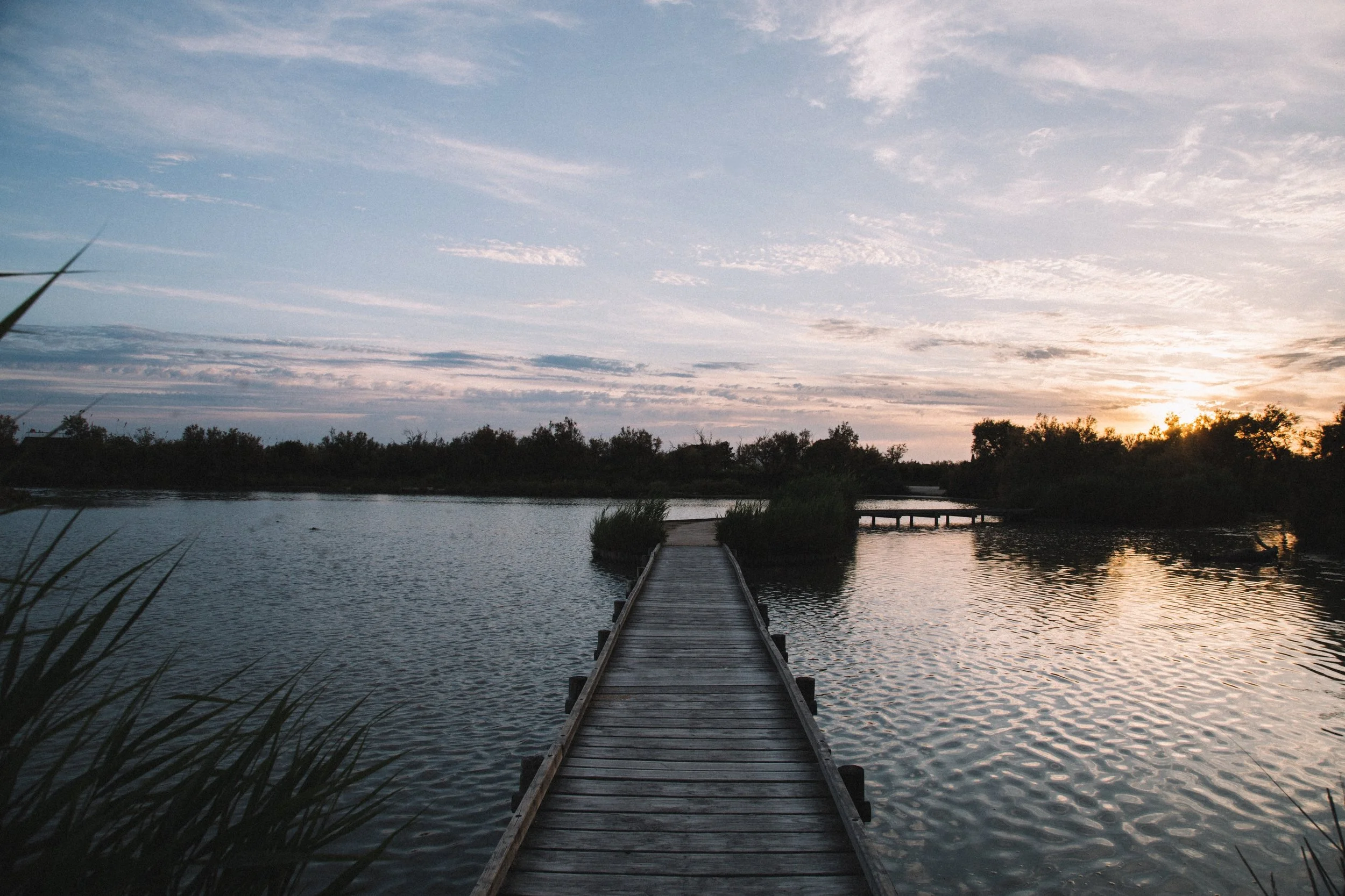Pont-de-gau-parc-ornithologique-coucher-soleil-flamants-.jpg