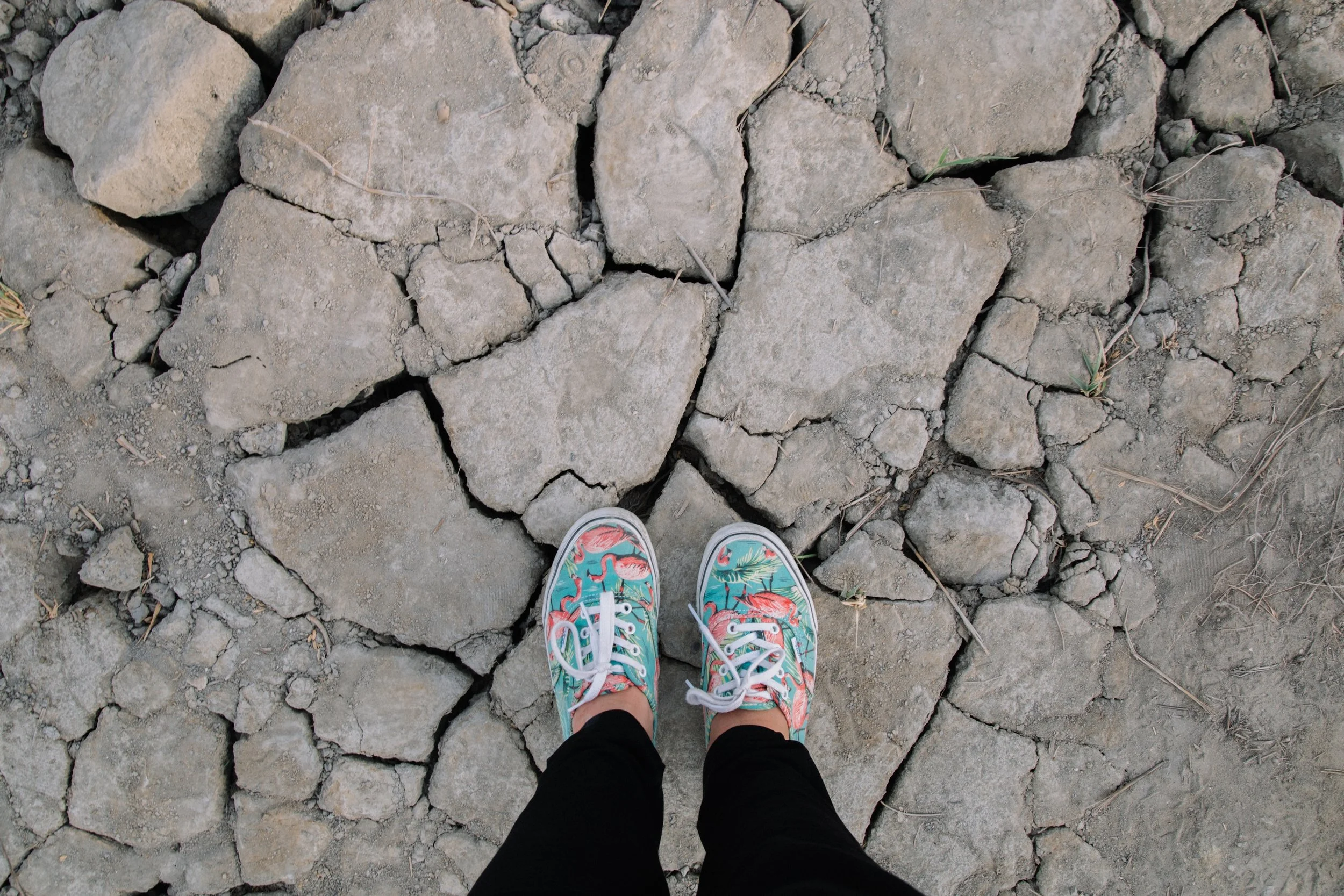 2017-camargue-vans-blog-onmyway.jpg
