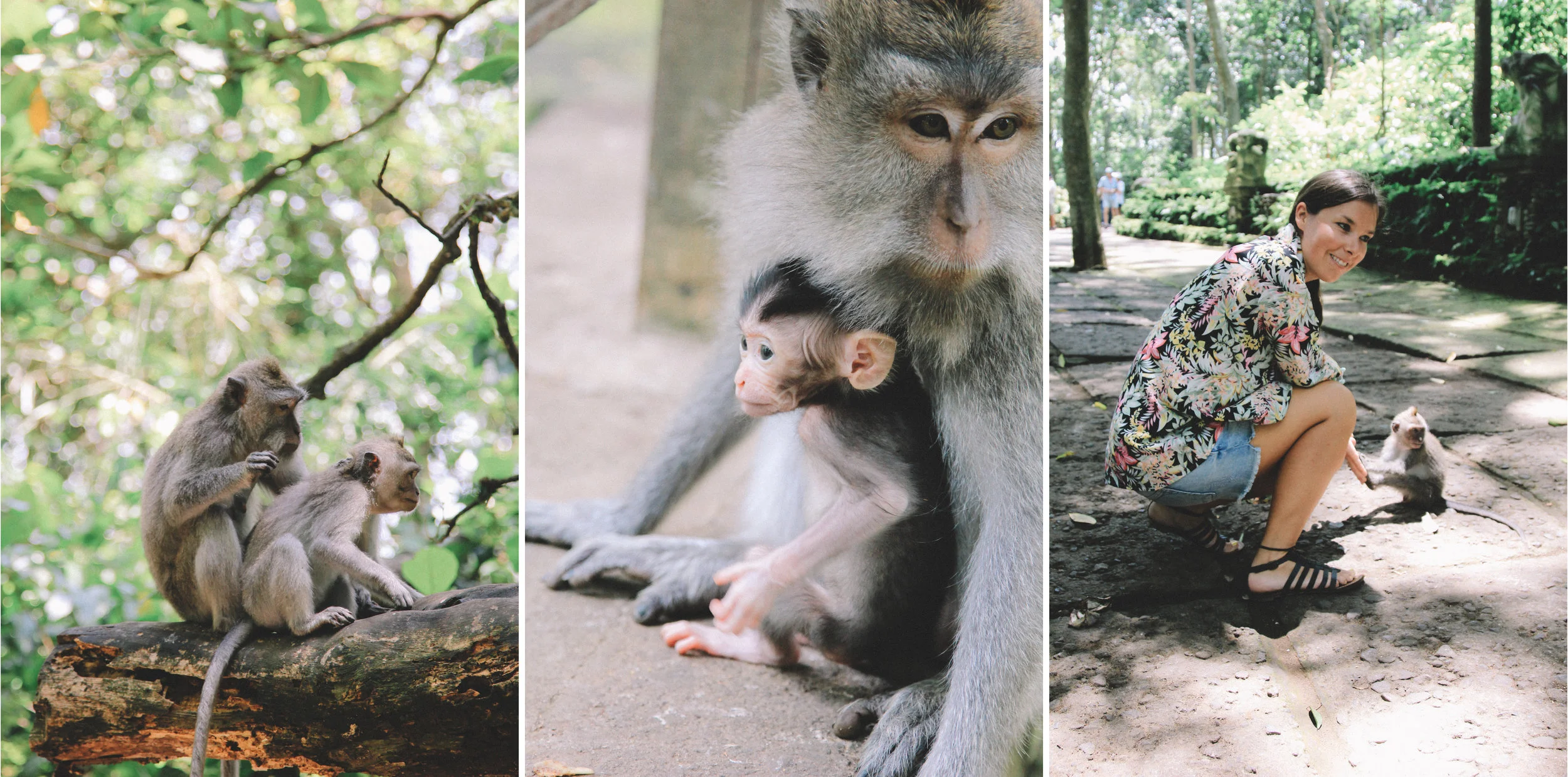 foret-singes-bali-alex-ubud-onmywayFR.jpg