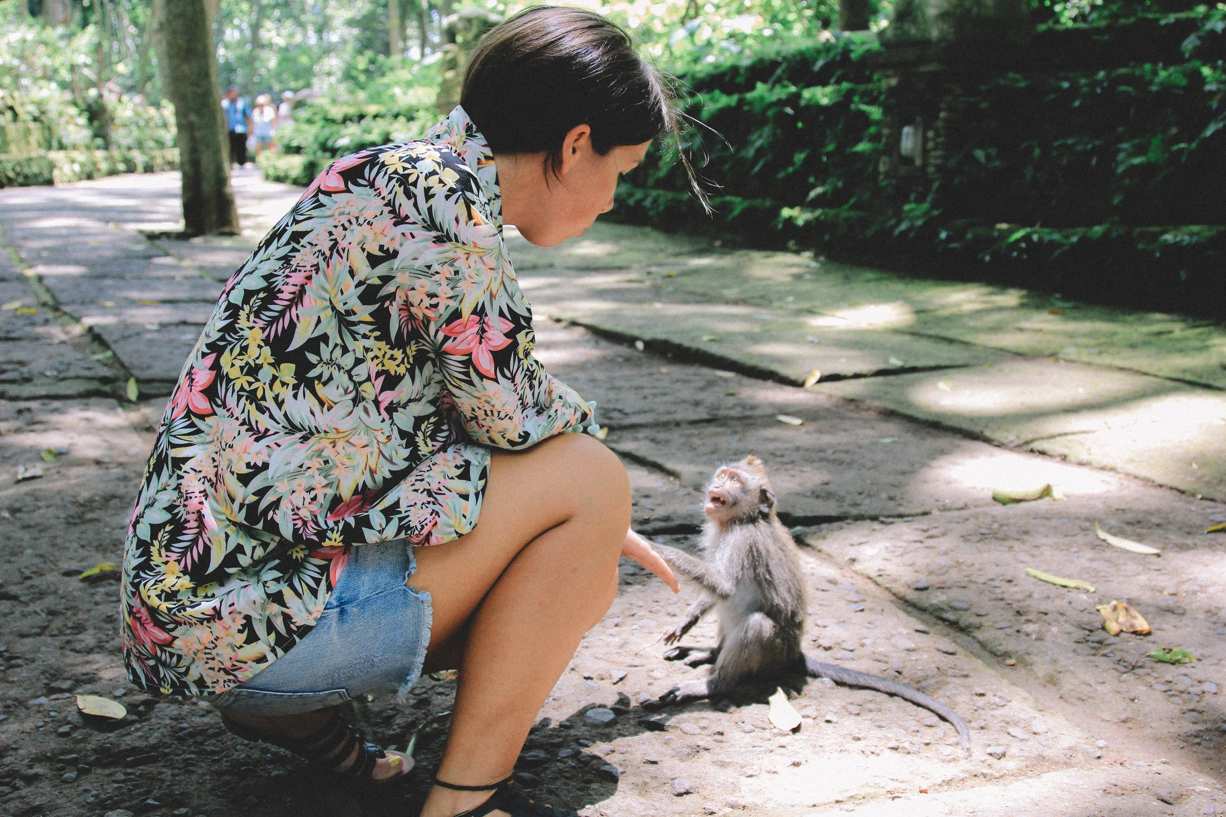 monkey-forest-alex-bali.jpg