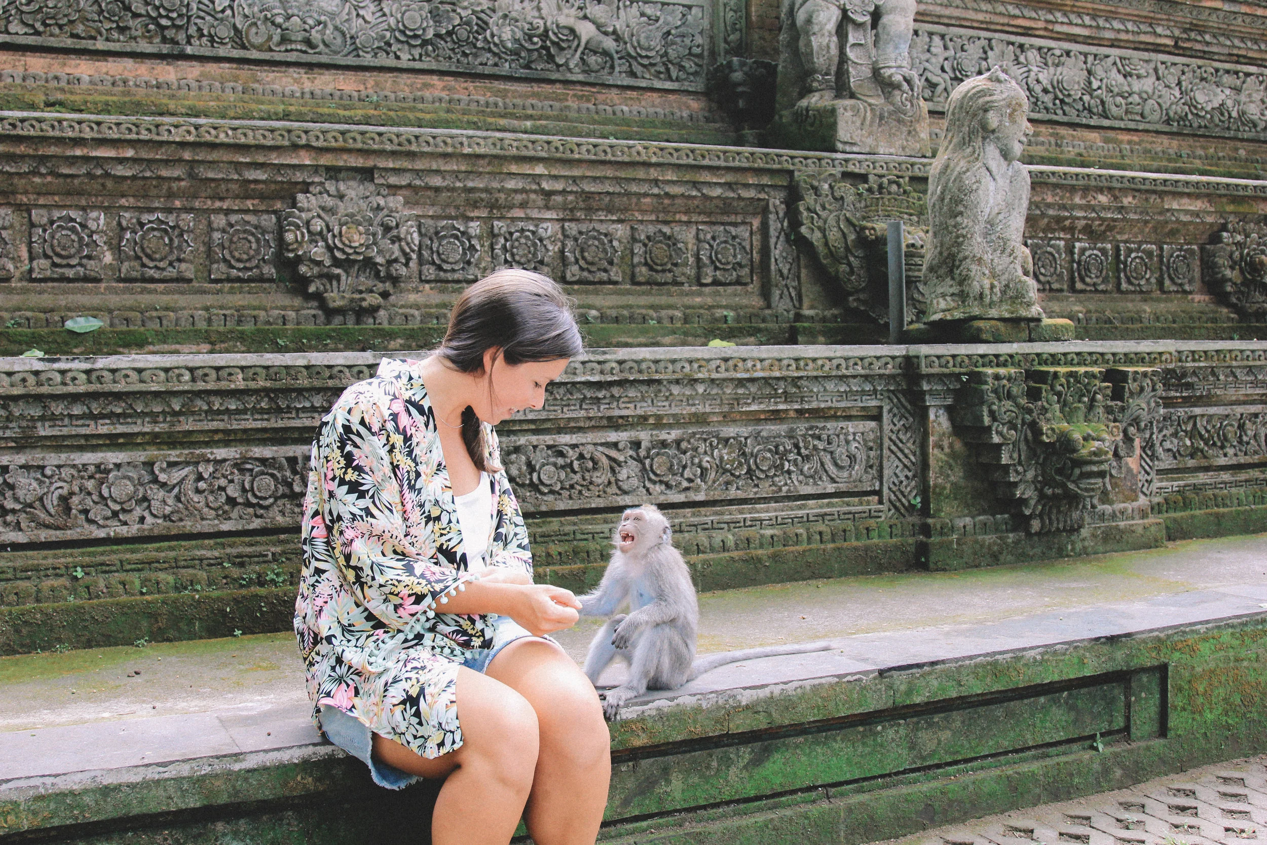 monkey-forest-alex-singe-bali.jpg