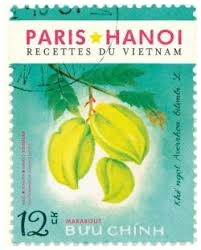 Paris-Hanoi, recettes du Vietnam
