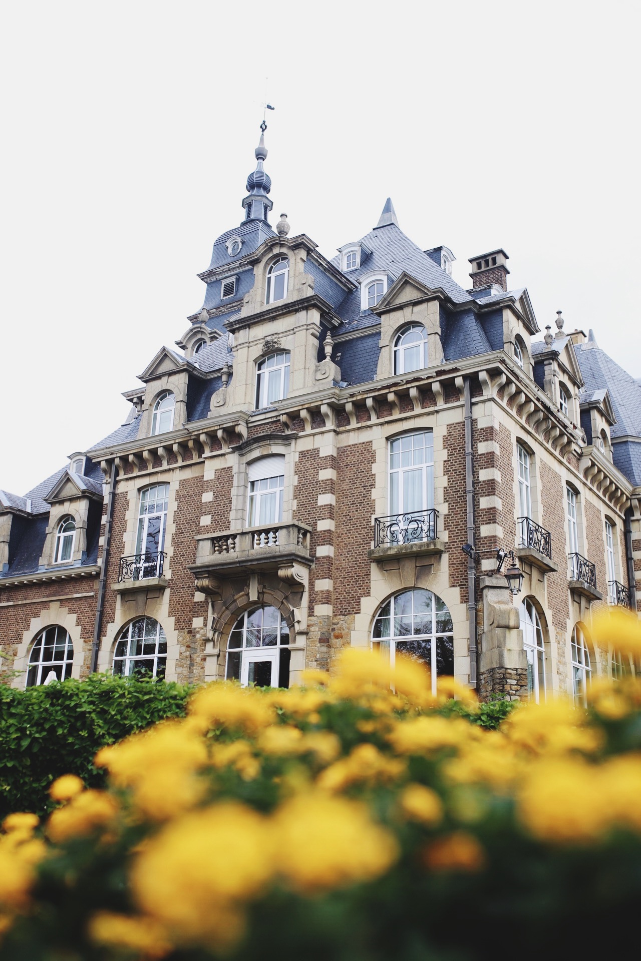 namur-chateau.JPG