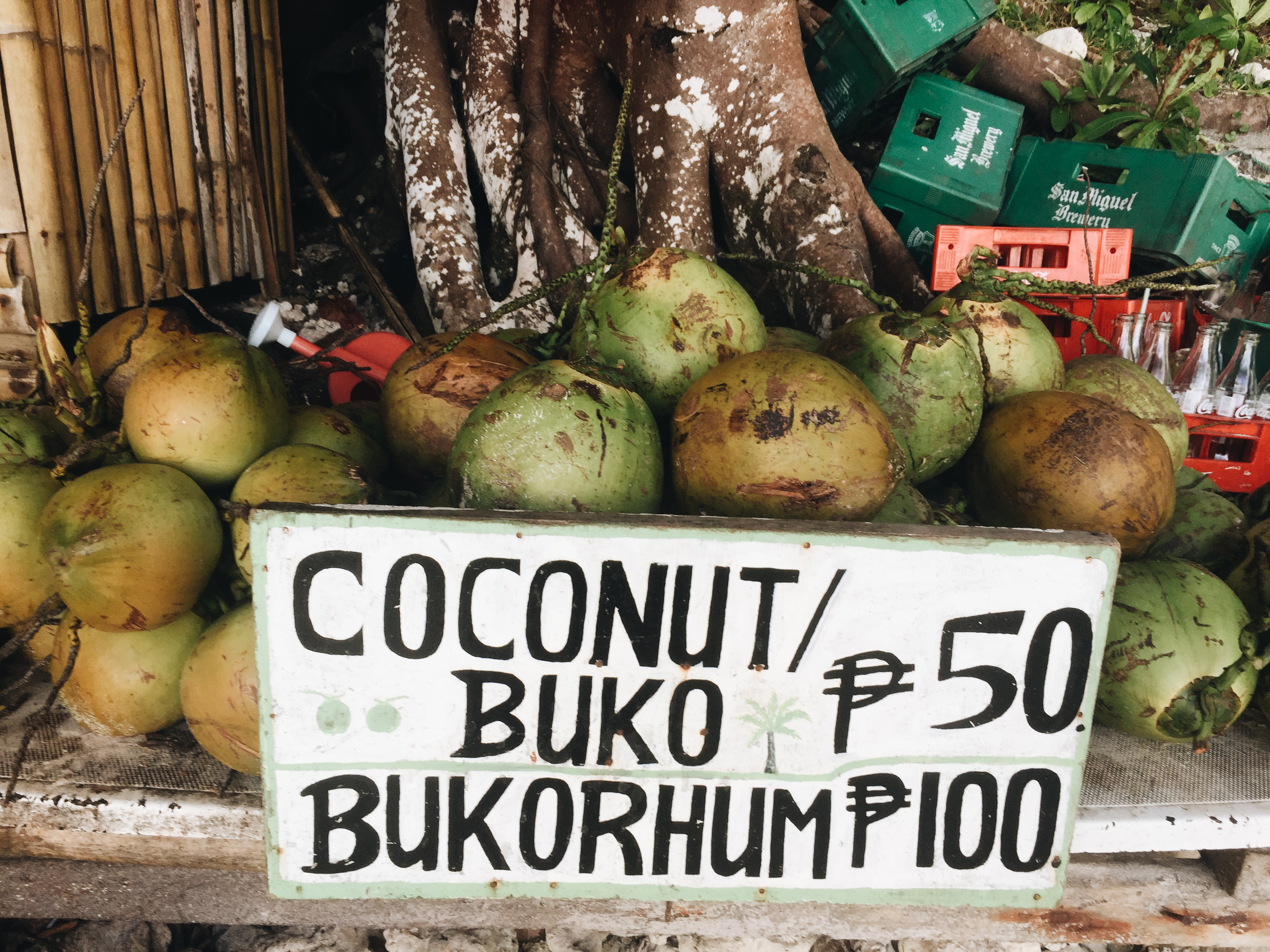 Coconut &amp; Buko