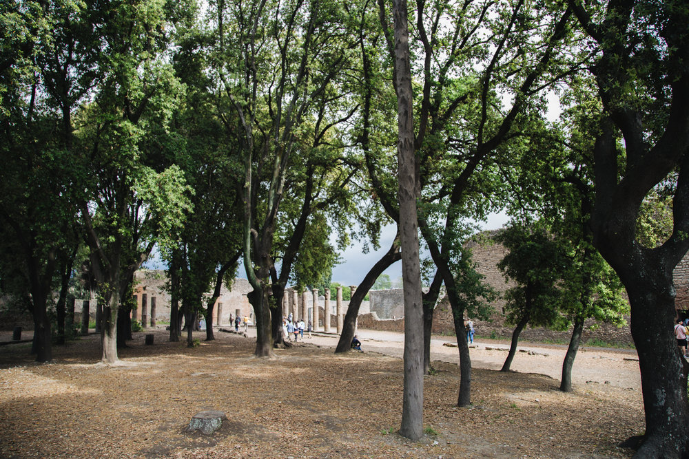 Forum Triangulaire site pompei nature Tempio Dorico - Santuario di Atena ed Eracle.jpg