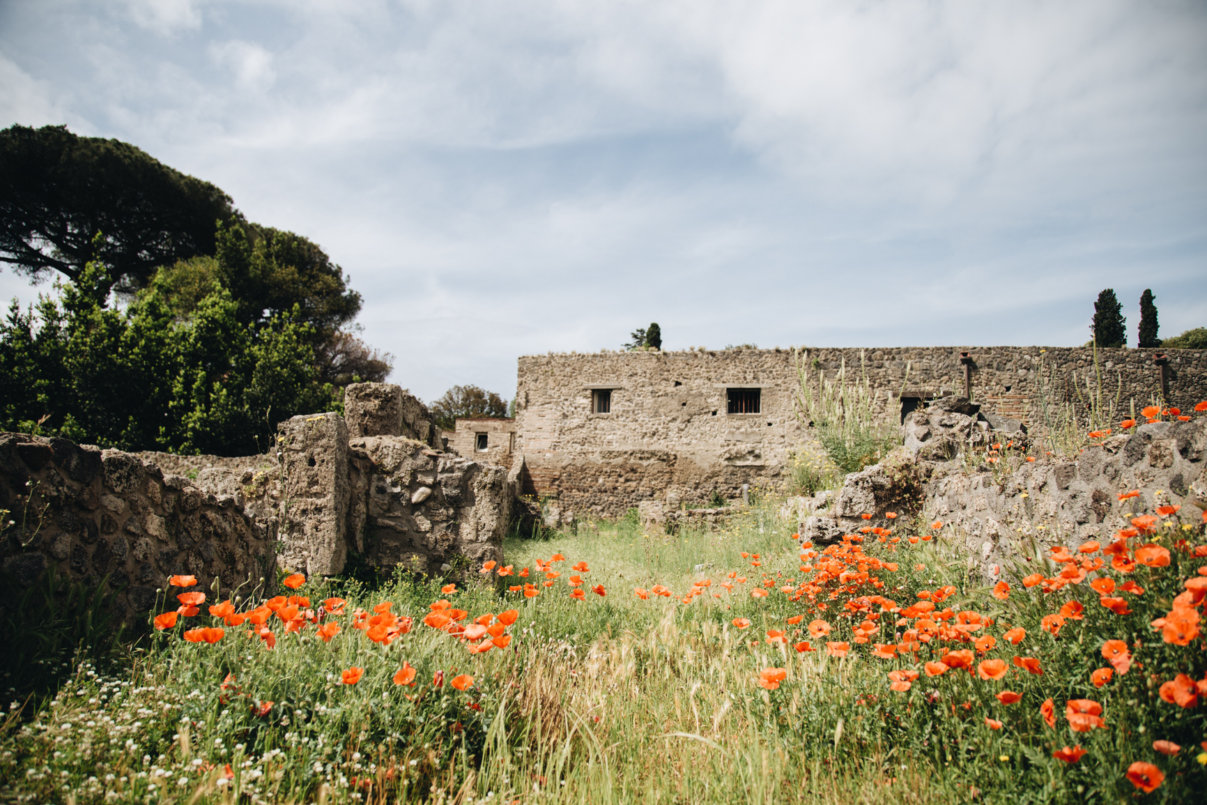 Theatre-coquelicotes-pompei-visite-site-archeologique-printemps.jpg