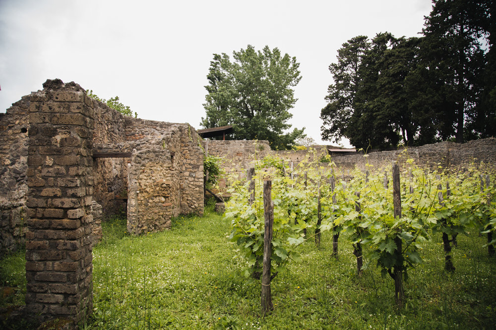 pompei-ruines-site-archeologique-jardin.jpg