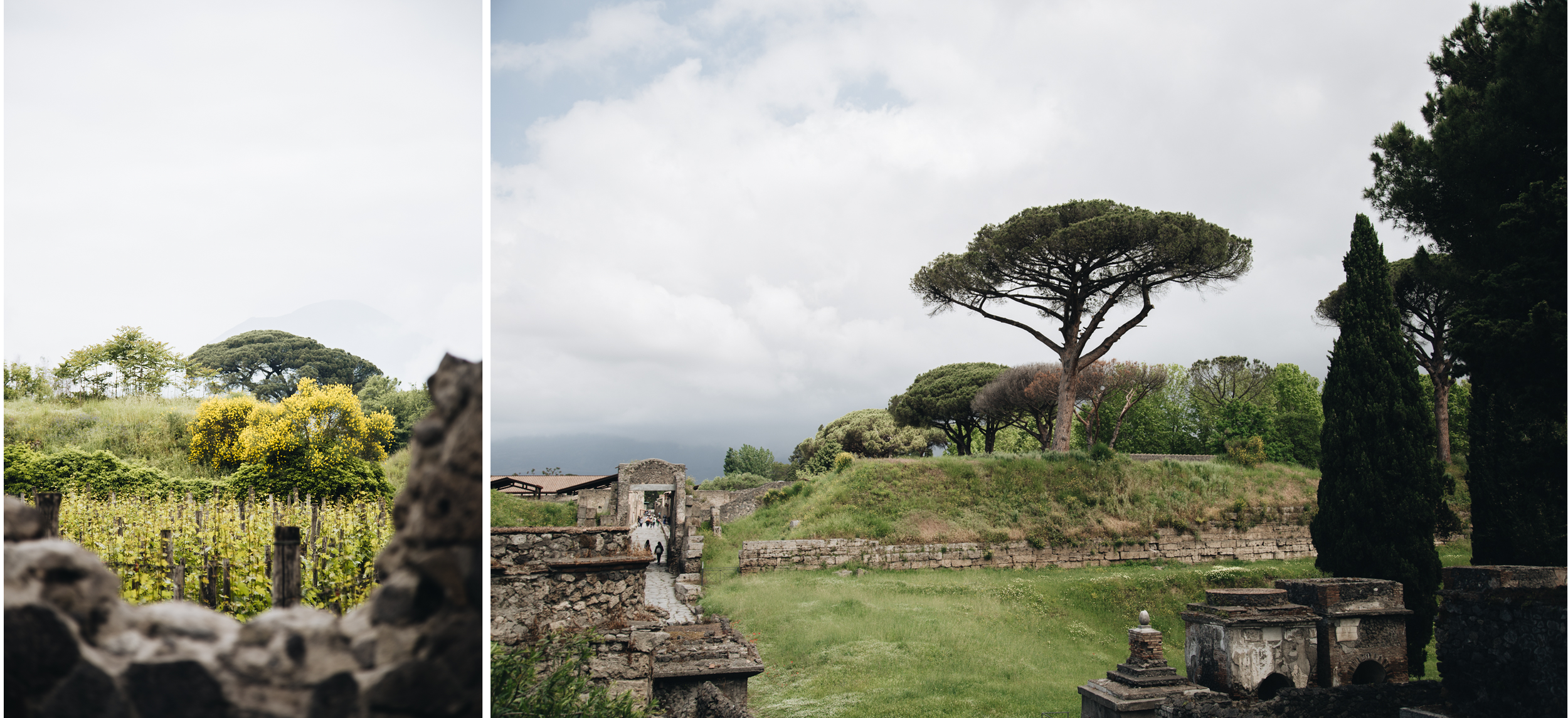 parc-archeologique-pompeii-ruines-blog-onmyway-jardins.png