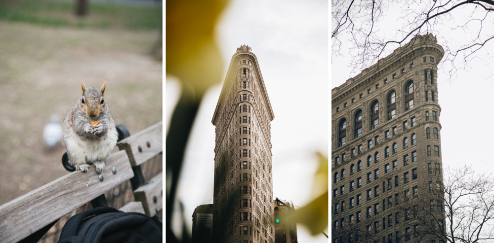 flatiron-madison-square-park-ecureuil-newyork-blog.png