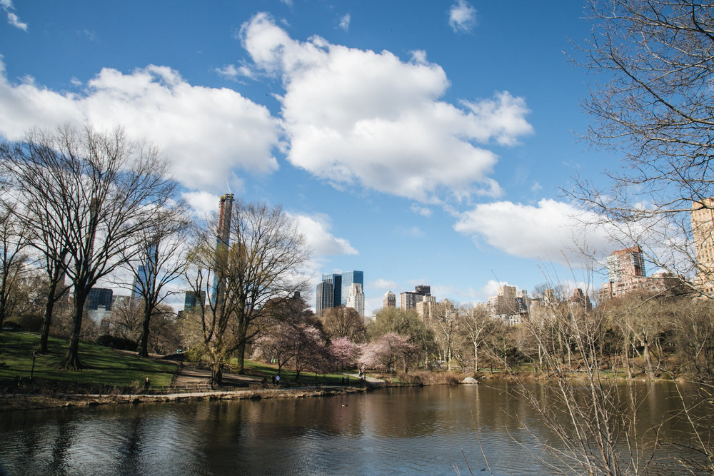 centralpark-NY-printemps-2019.jpg