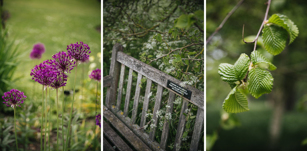 Jardin-botanique-cambridge-blog-voyage.jpg