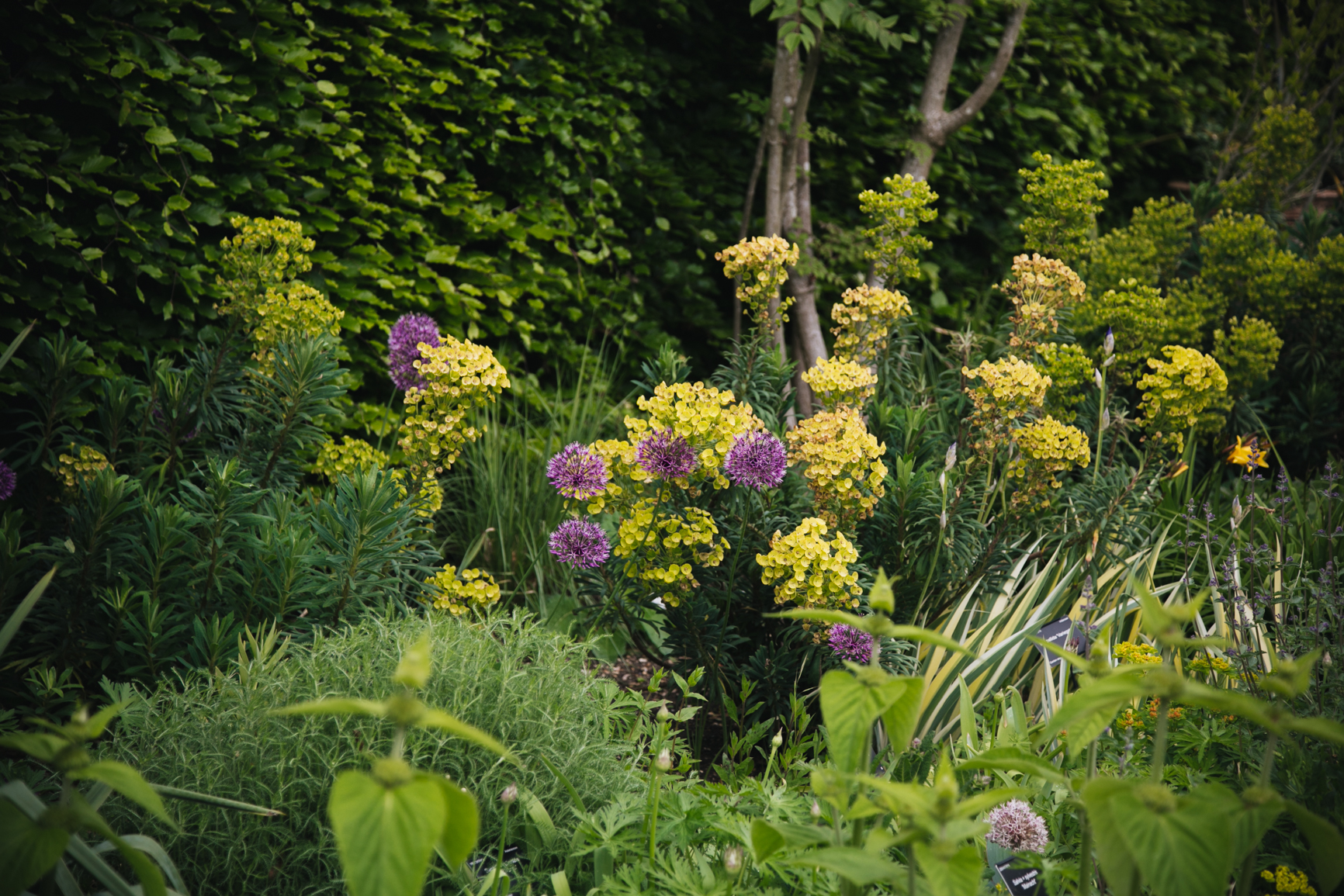 Jardin-botanique-universite-de-cambridge-blog.jpg