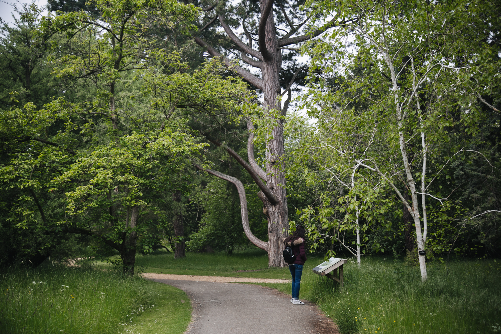 Jardin-botanique-universite-de-cambridge.jpg