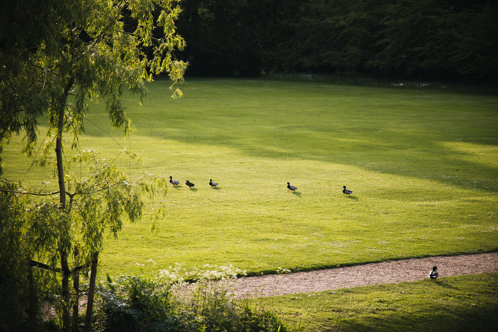 Backs-cambridge 5.jpg