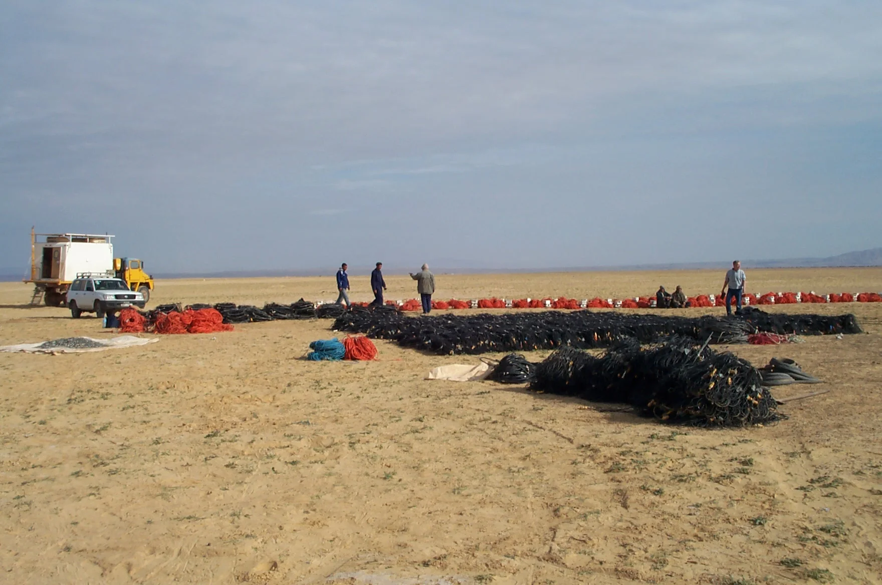 Quality checking cables and geophones for seismic crew start up, Algeria.