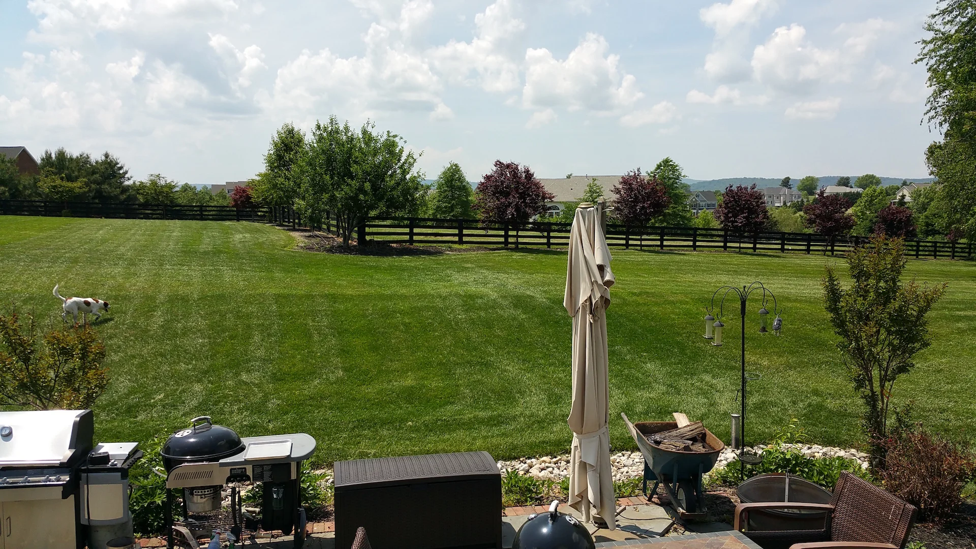 A before shot of the property. 