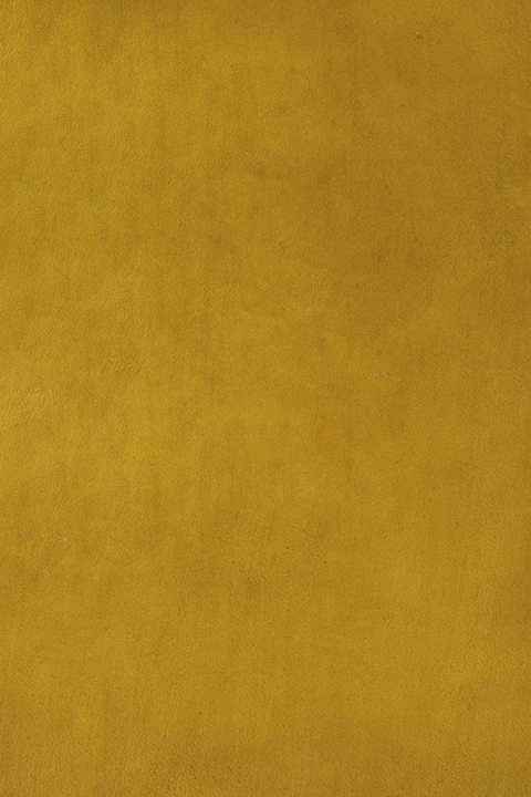 Amber Yellow