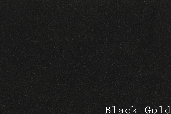 13.12AW-Black Gold w: text horizontal.jpg