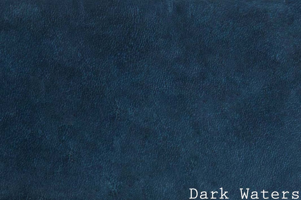 13.14-AW-Dark Waters w: text horizontal.jpg