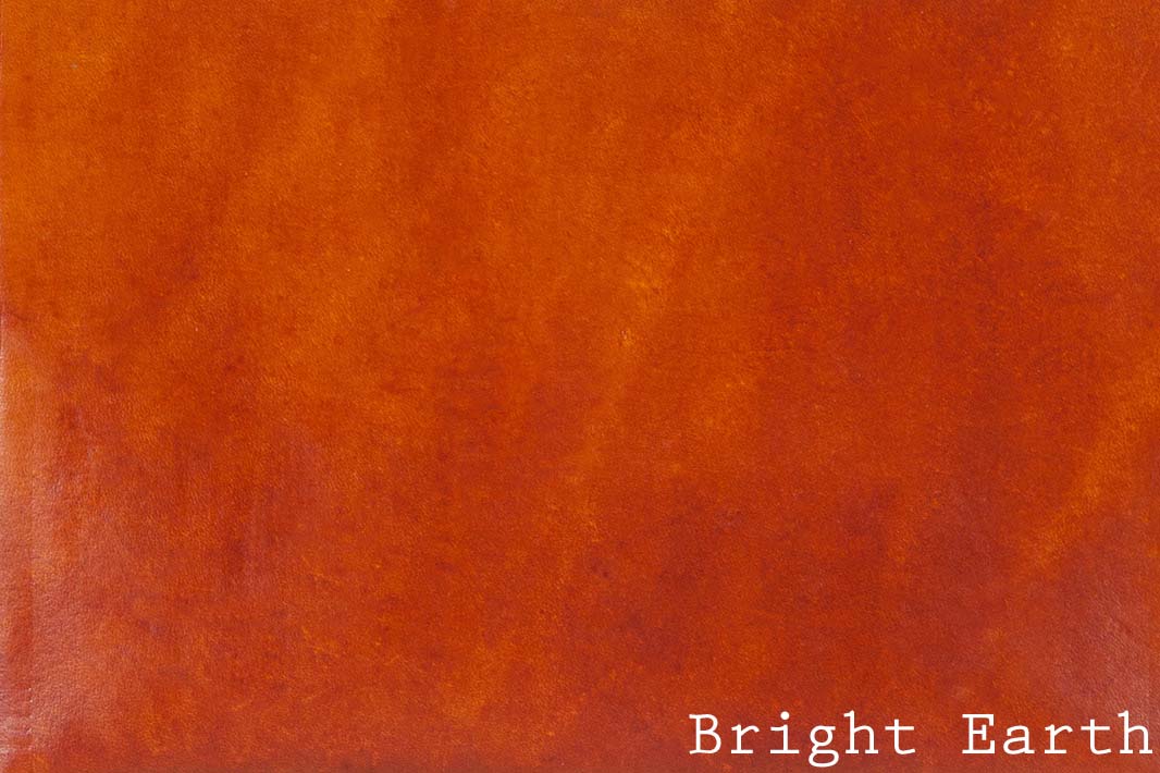 13.14-AW-Bright Earth w: text horizontal.jpg