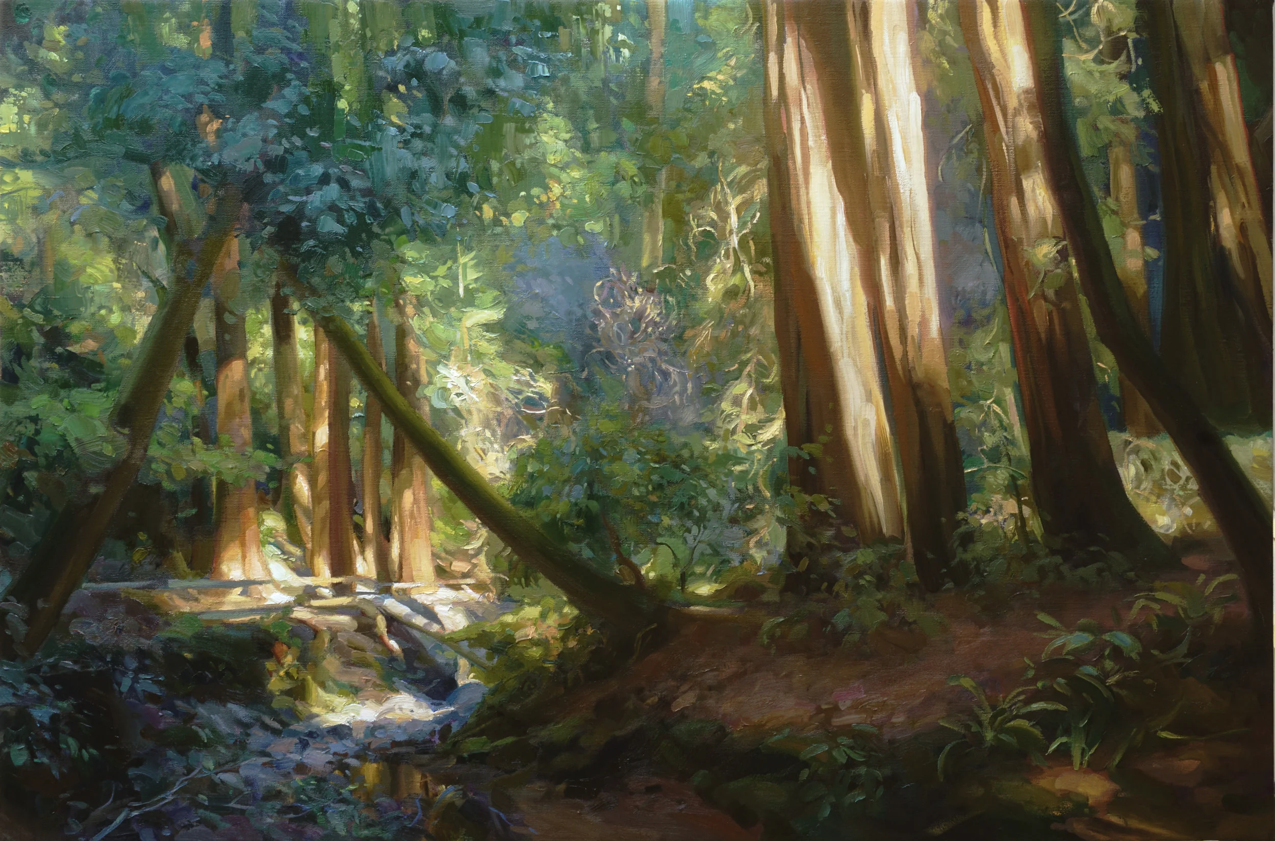 Muir Woods