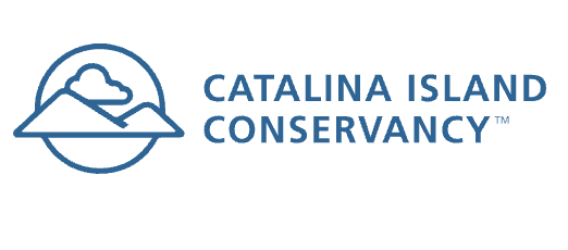 Catalina: The Wild Side Art Show