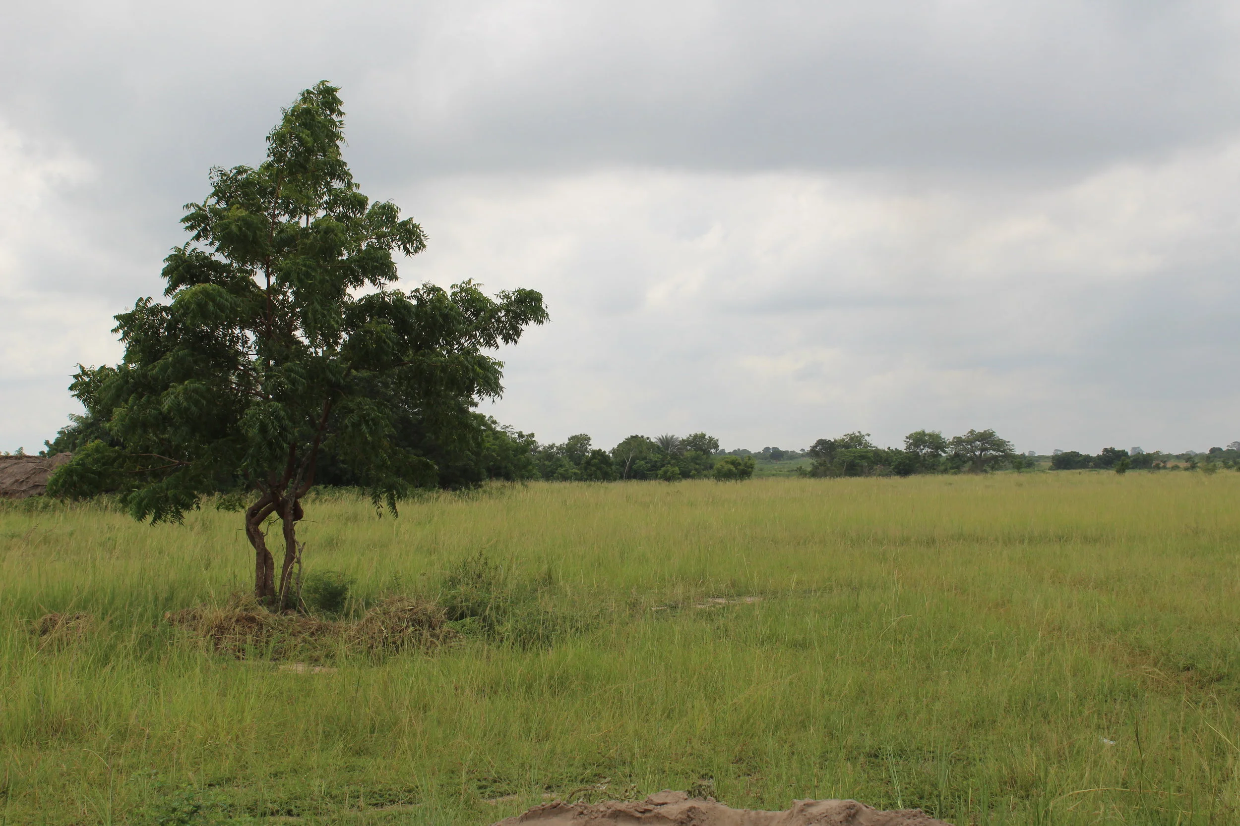 Education Structure in Ghana - Part 2