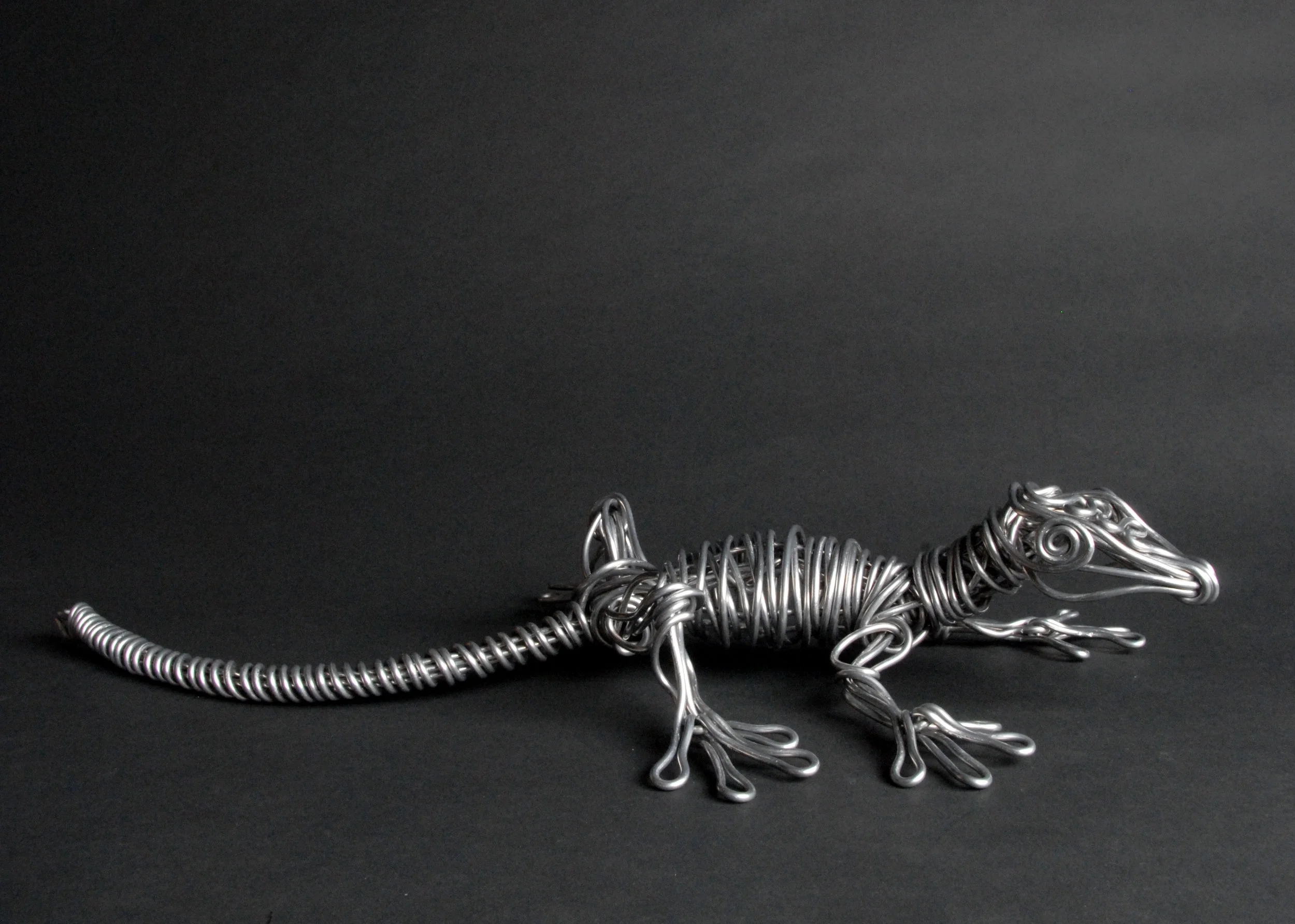 lizard2.jpg