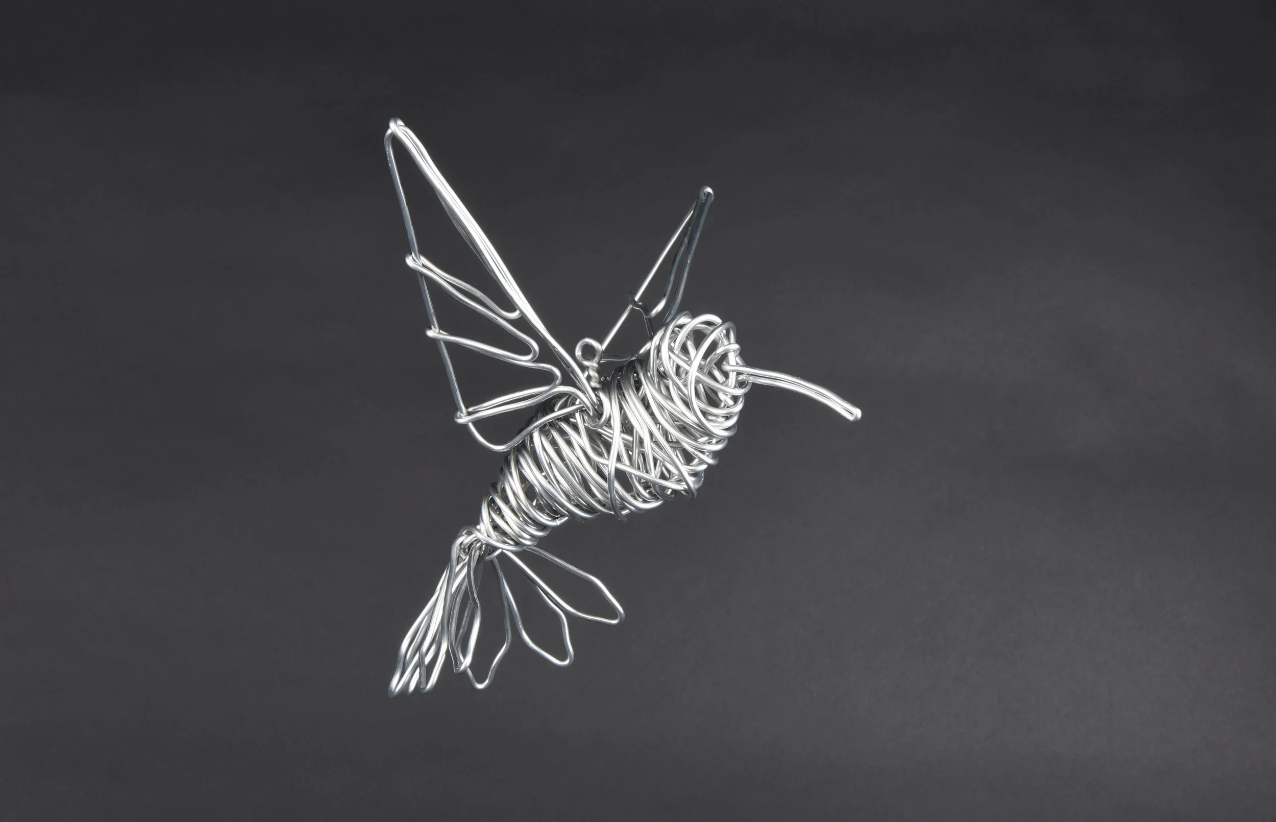 Hummingbird.jpg
