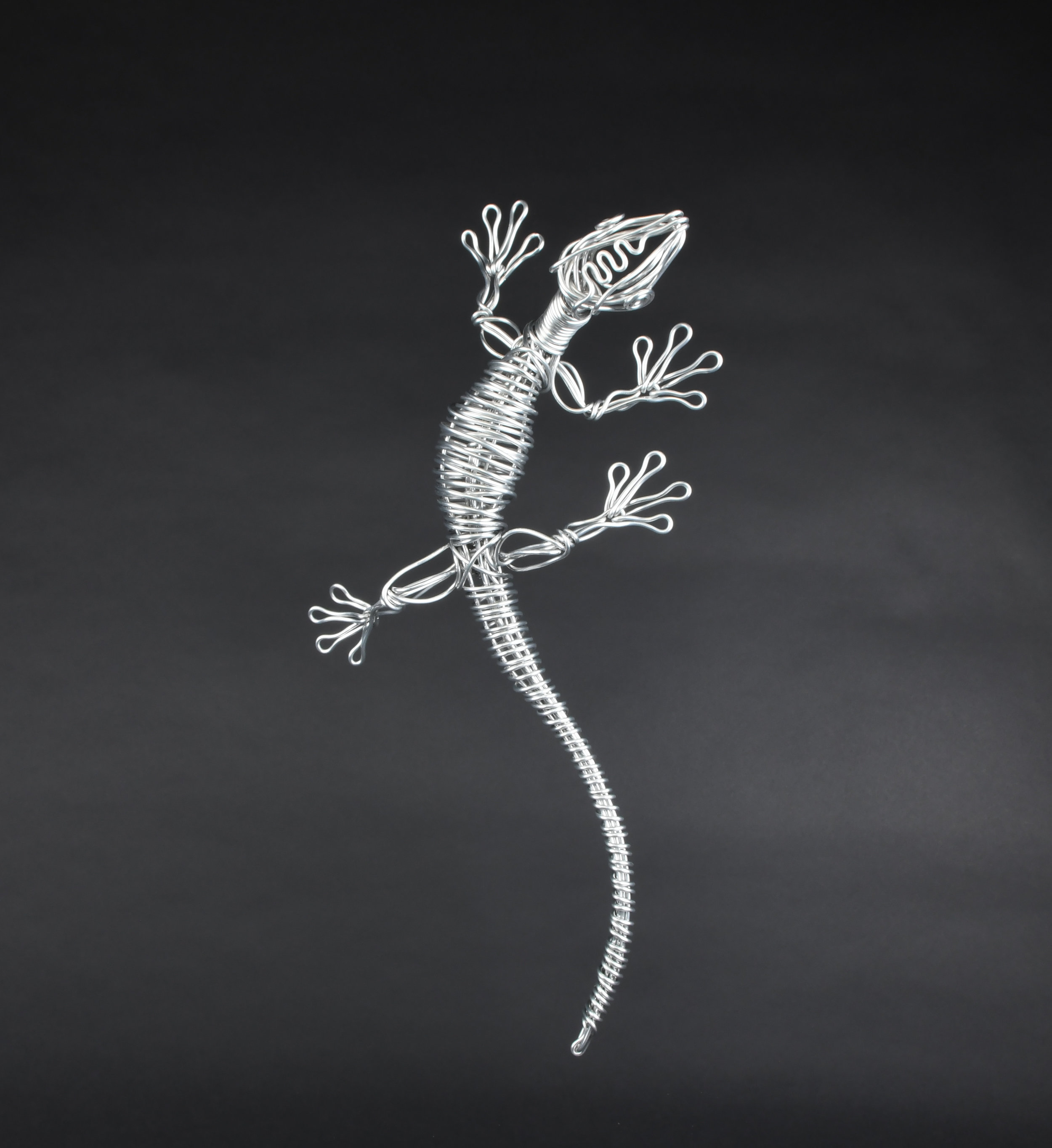 Lizard.jpg