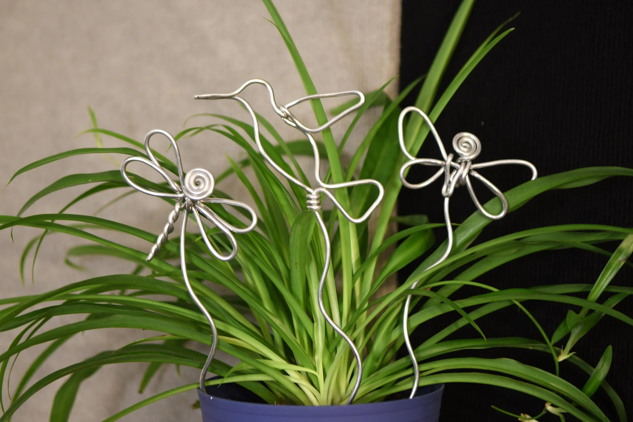Plant Sticks 2.JPG