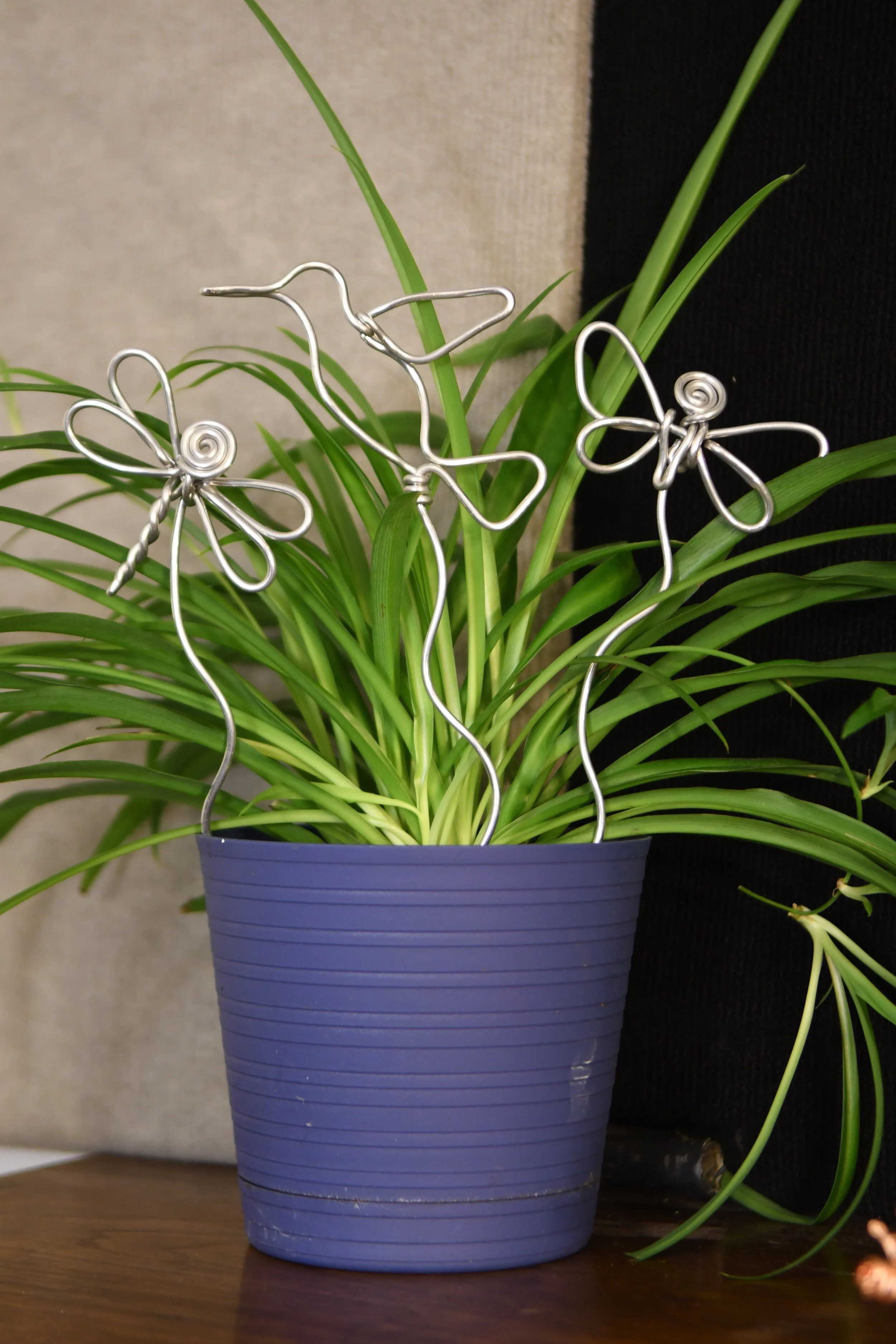 Plant Sticks 1.JPG