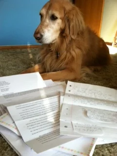 Daisy&fan mail copy.JPG