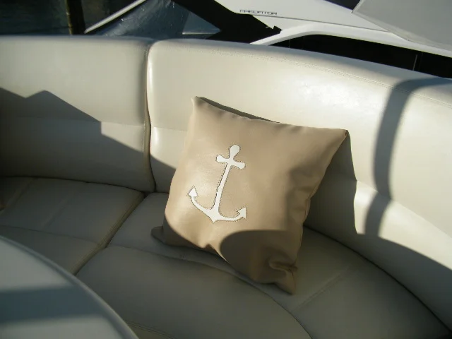 custom throw cushion.JPG