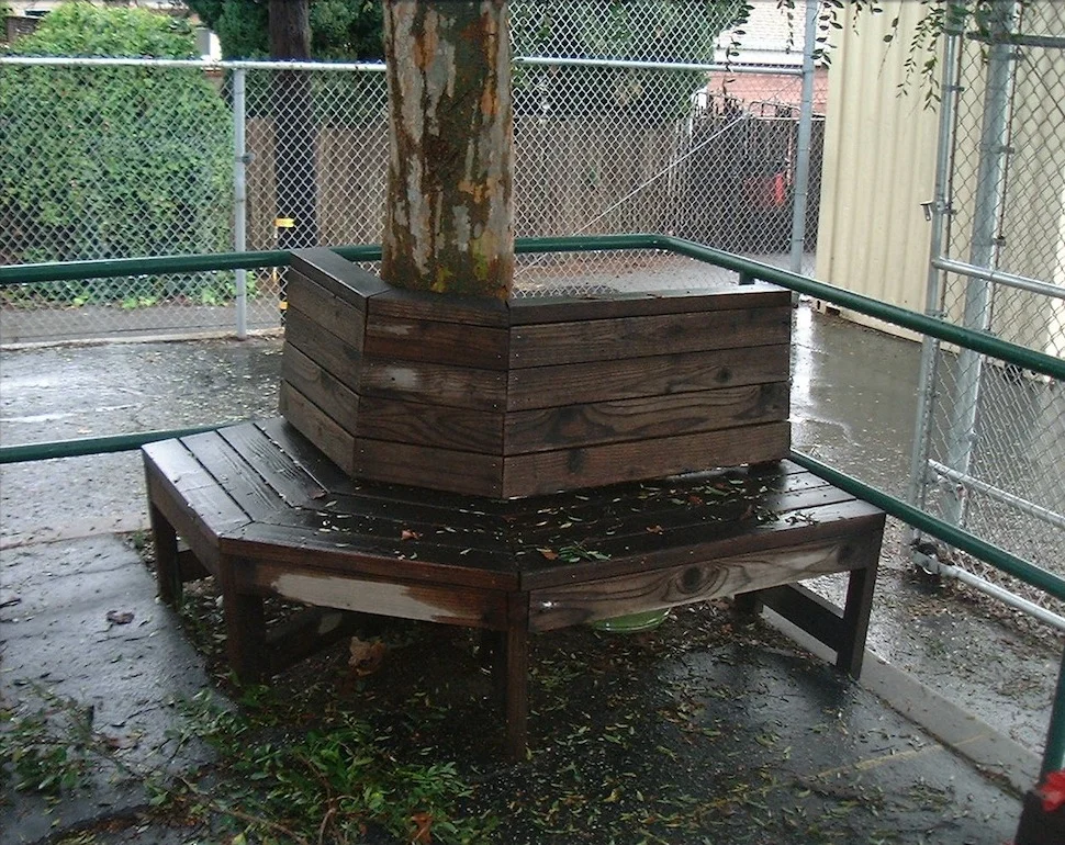 second grade class bench