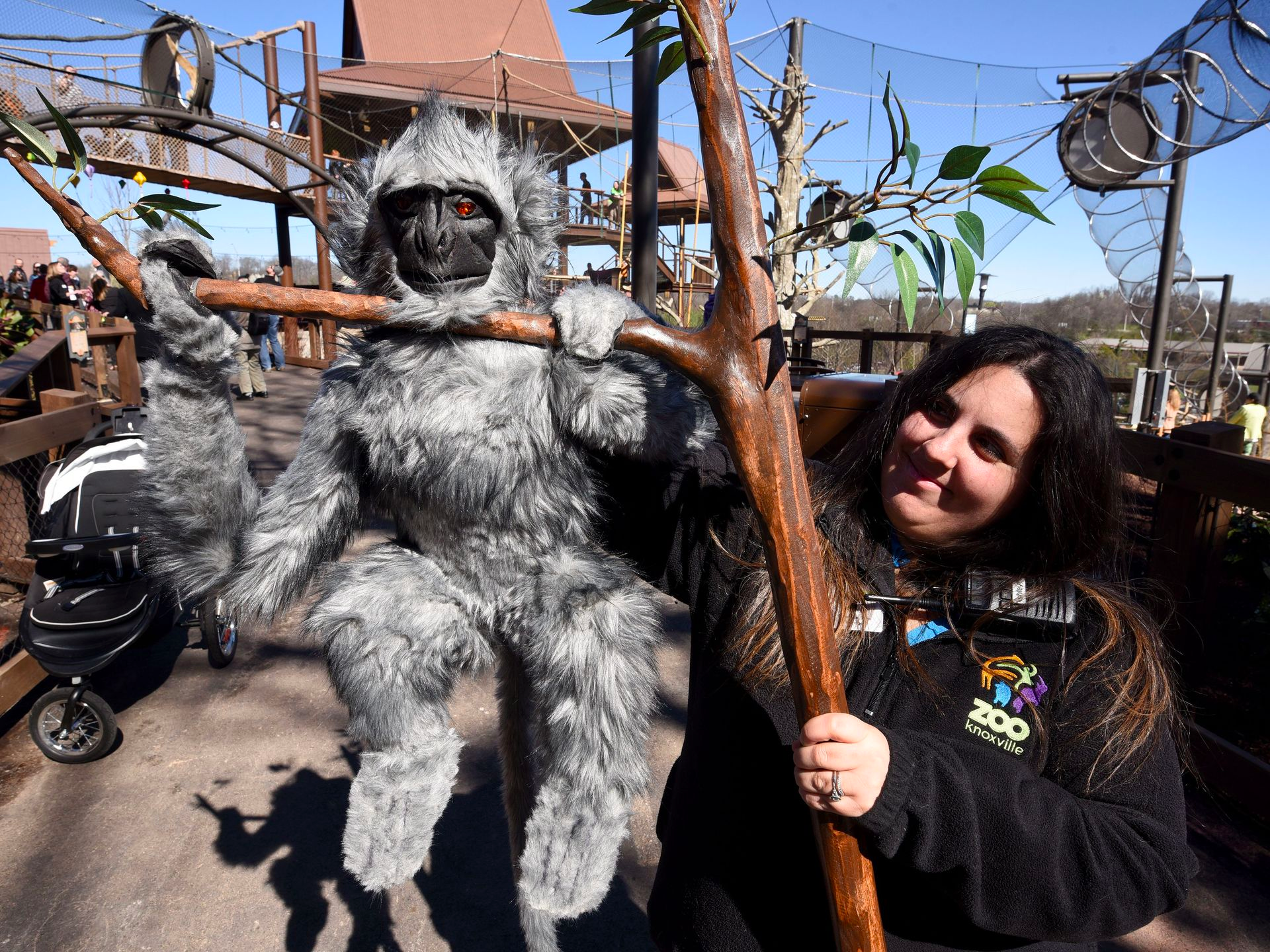 langur and orangutan fur