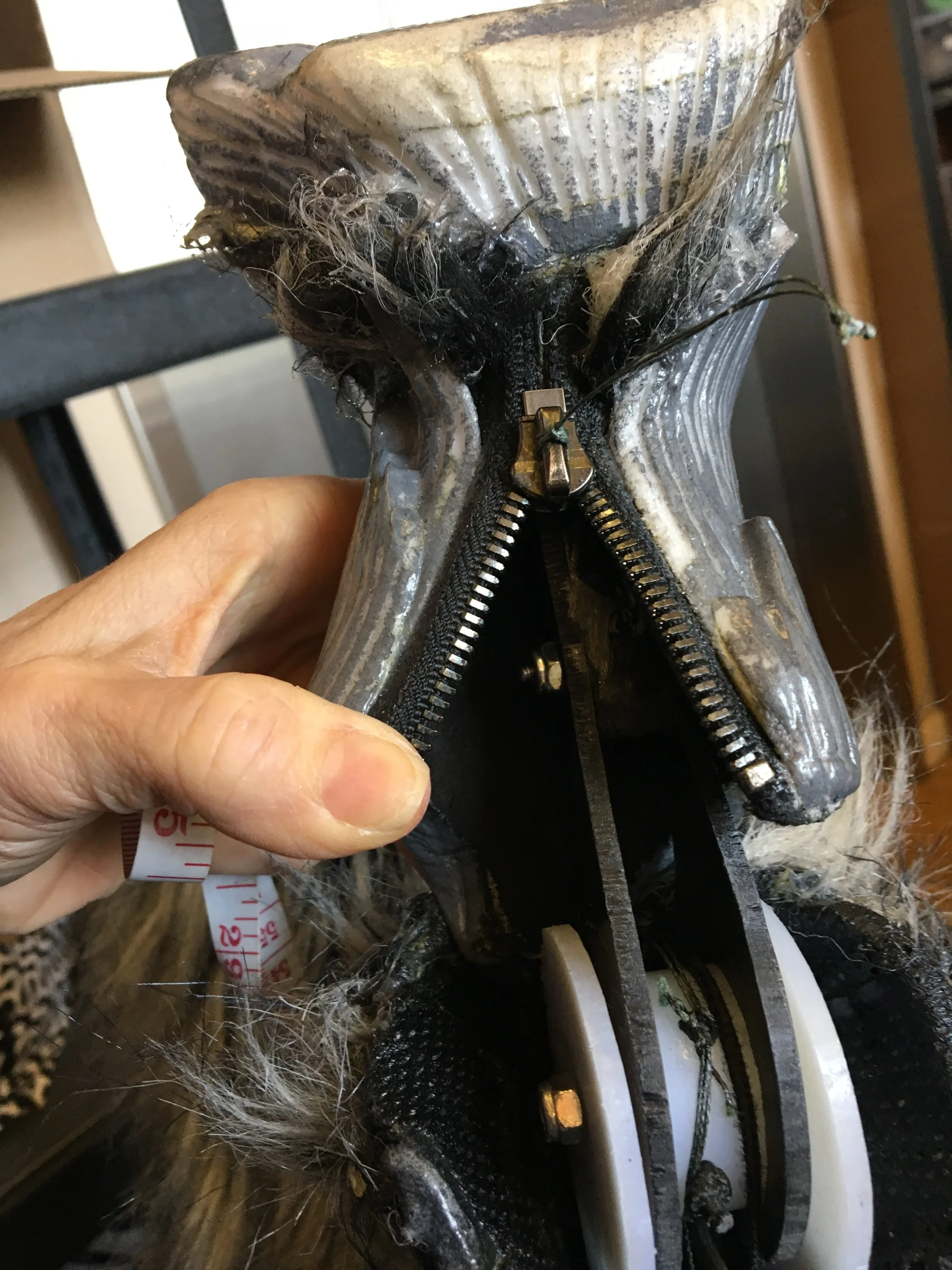 creature Disney wolf ankle.jpeg