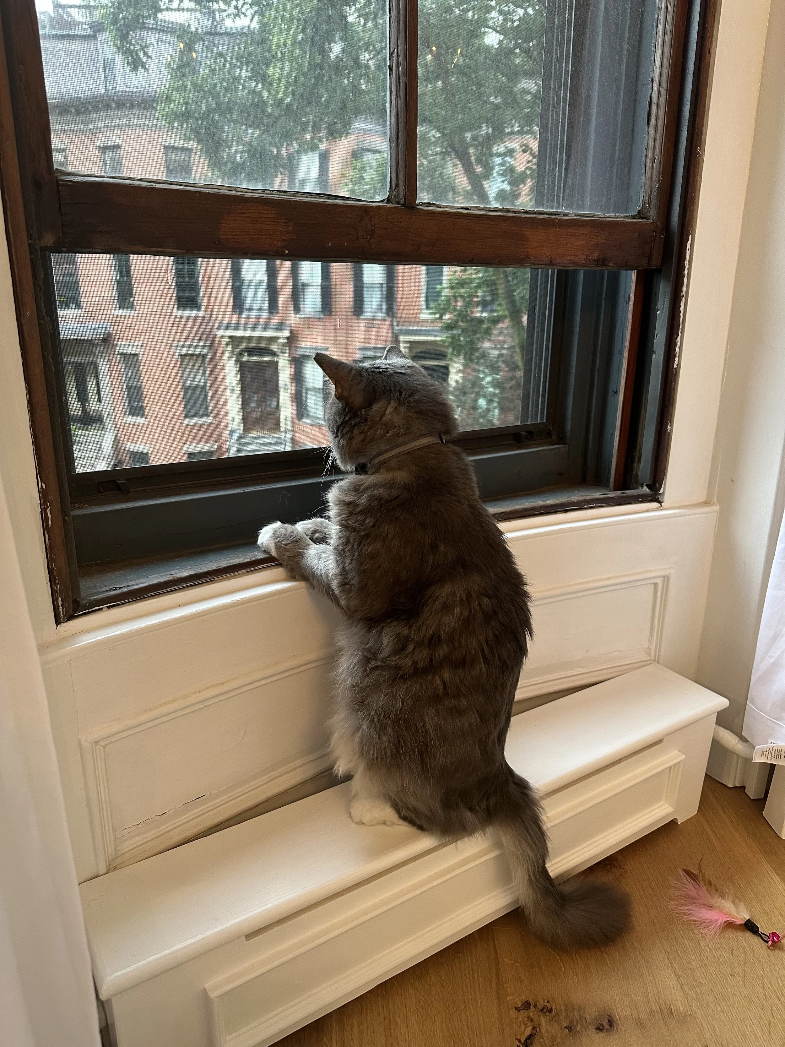  low radiator covers - preferred use    