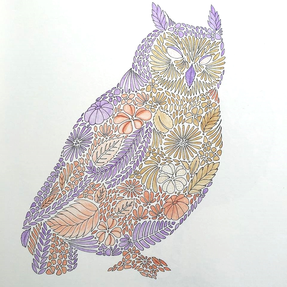 Featured image of post Finished Animal Kingdom Colouring Book It s sooooo fun really does relax me or take my mind of things for some time